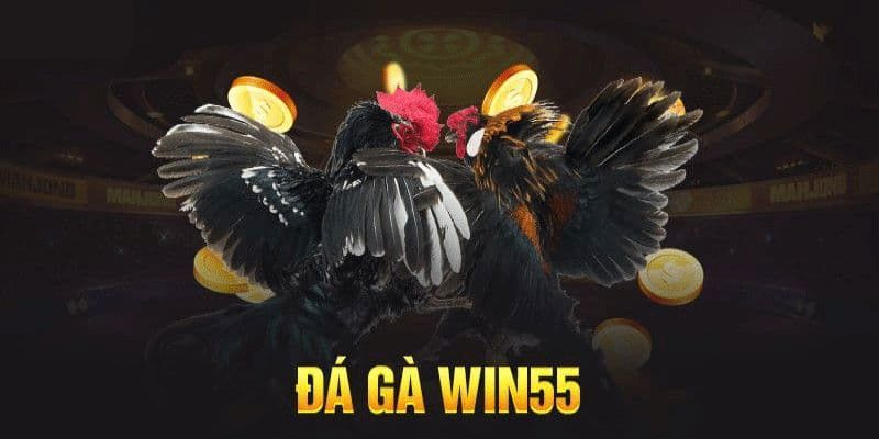 Ưu thế bảo mật giao dịch nạp/rút tại nền tảng đá gà WIN55