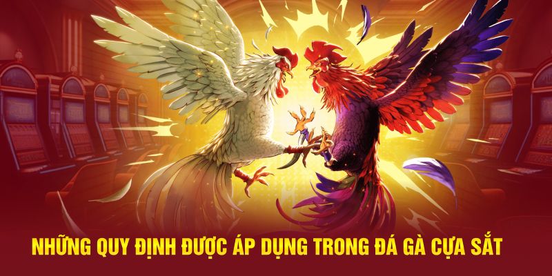 Những điều khoản áp dụng trong trò chơi đá gà cựa sắt