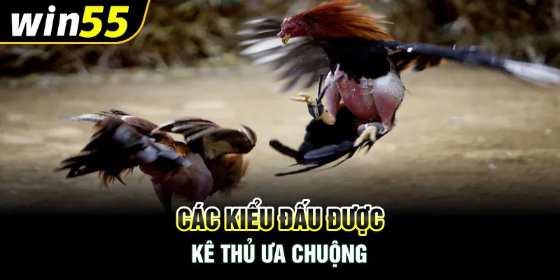 Các kiểu đấu được kê thủ ưa chuộng